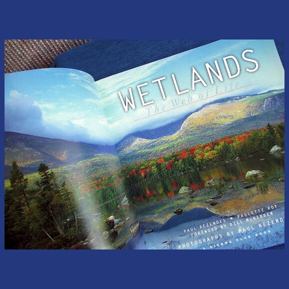 Book - Wetlands: The Web of Life, by Paul Rezendes and Paulette Roy - Picture 2 of 13